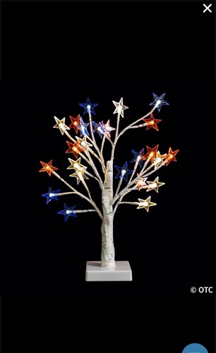Albero betulla - di,