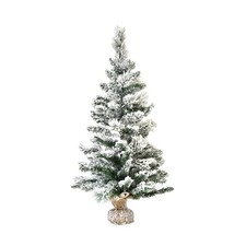 Cecaro Group Albero di Natale